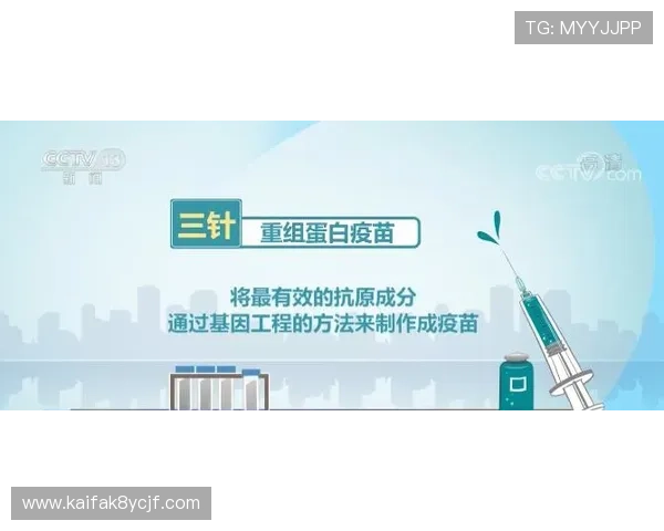 全面解析K8体育登录登录线路的技术保障措施与安全策略