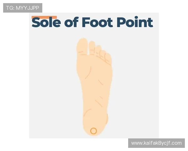 IM体育官方最新版本上线：下载与安装指南帮助玩家快速入门